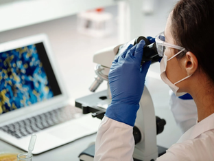 Seis cursos de Medicina obtêm nota máxima no Enade 2025