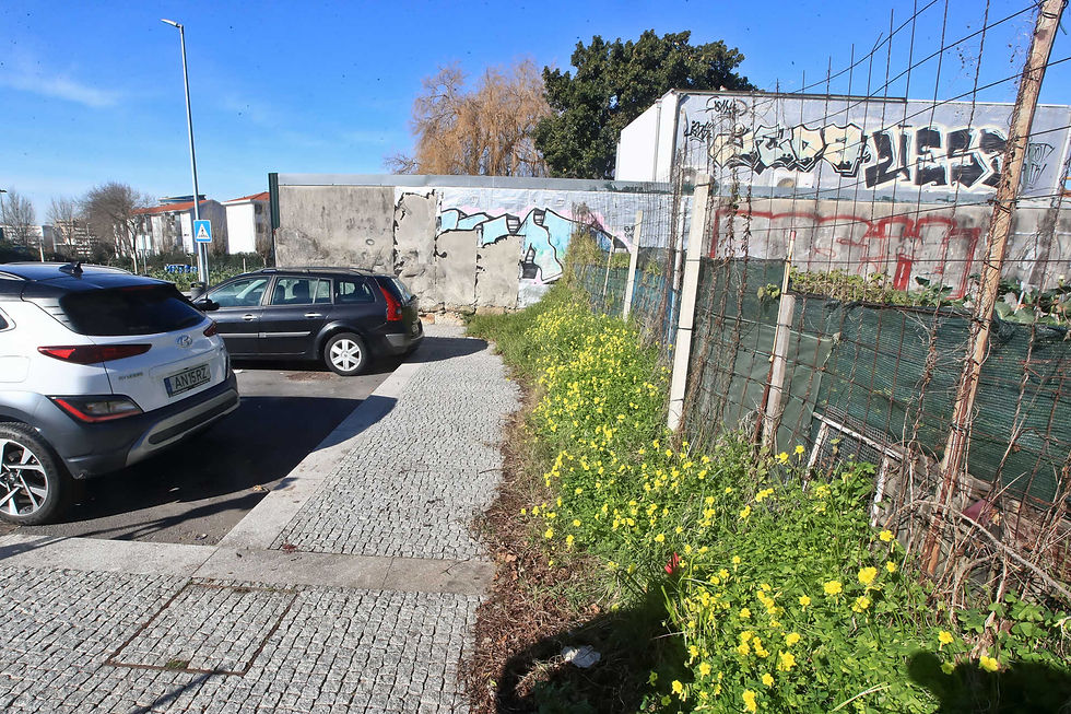 Na imagem aparecem carros estacionados, uma calçada com um mata alta em sua borda