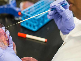Laboratório para o diagnóstico de doenças.