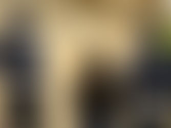 A imagem mostra indivíduos usando coletes com a inscrição "SIC".