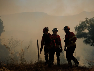 Bombeiros caminham em área com muito fumo branco
