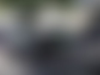 Portugal regista ligeiro aumento no número de óbitos em 2024