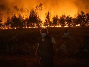 Pessoas observam progressão de incêndio florestal