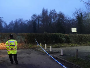 Criança de 12 anos esfaqueada até à morte em Birmingham