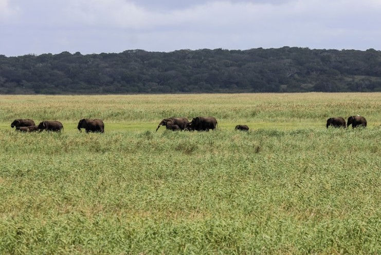 Parque Nacional de Maputo