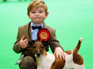 Menino de Seis Anos Vence o Crufts como o Mais Jovem Adestrador