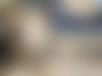 Burros tornam-se essenciais na sobrevivência em Gaza