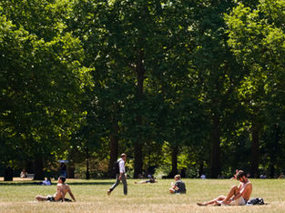 Pessoas tomando sol no parque