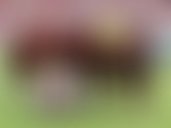 A imagem mostra o time de futebol do Clube de Regatas do Flamengo