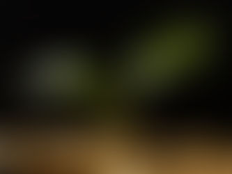 Uma pequena planta com duas folhas verdes crescendo entre várias moedas douradas empilhadas sobre uma superfície escura, representando o conceito de crescimento financeiro ou investimento sustentável.