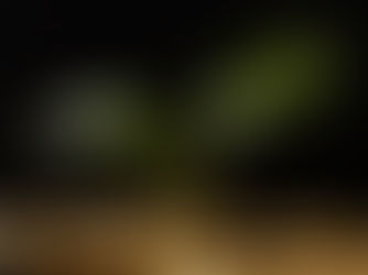 Uma pequena planta com duas folhas verdes crescendo entre várias moedas douradas empilhadas sobre uma superfície escura, representando o conceito de crescimento financeiro ou investimento sustentável.