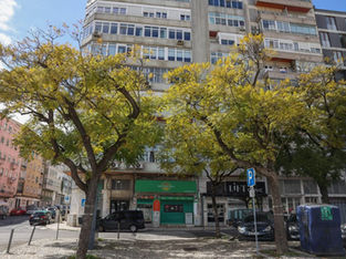Rua com árvores plantadas ao centro