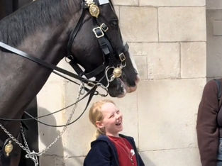 Menina sorri após cavalo a 'beijar'