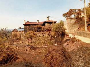 Casa de Alzira Luís, que ficou destruída pelos fogos de 17 de junho de 2017