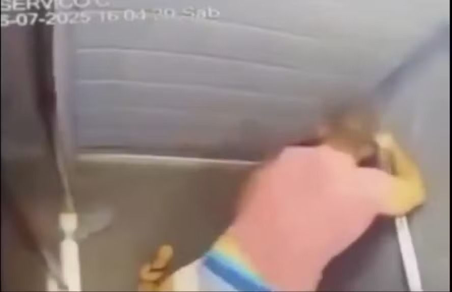 Imagem borrada mostra homem no elevador socando mulher abaixo dele no elevador