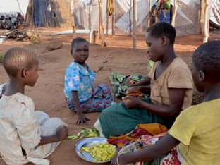 Sofala enfrenta crise alimentar com 99 mil afetados pelo El Niño