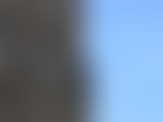 Homem com bandeira palestina