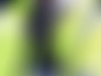Visão de perto do peito de um policial uniformizado