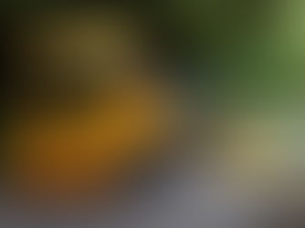 Polícia procura taxista que esteve presente em acidente mortal
