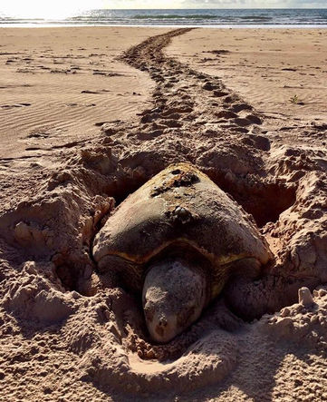 WhatsApp Image 2020-10-02 at 20.57.28.jpeg