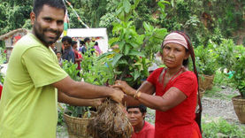In die Wöd einischaun