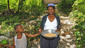 Waldgärten für kleinbäuerliche Familien in Haiti