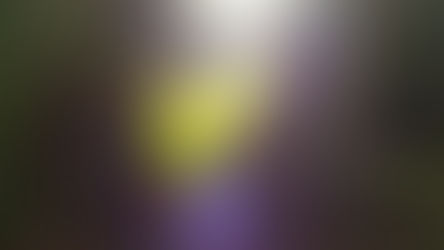 Newsletter ~ April 2023