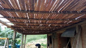 Semillas del Pueblo - Venezuela