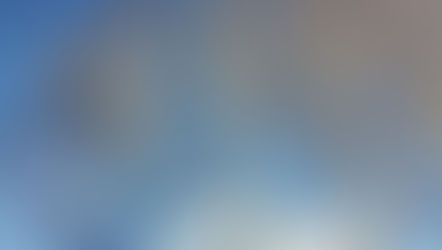 Newsletter ~ Februar 2023