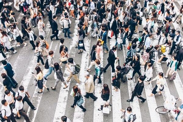 Nằm Mơ Thấy Nhiều Người Đánh Con Gì? content media
