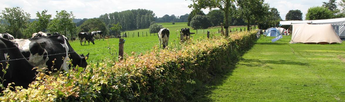 Waalheimerfarm — photo 3