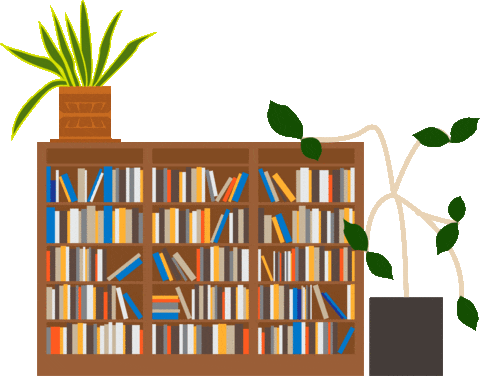 book shelf