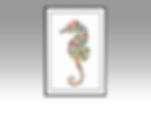 Plate 261 Manaia The Seahorse b