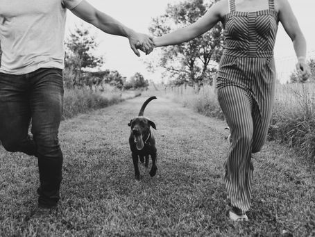 Engagement Session, Madison WI | Ellyn + Matt
