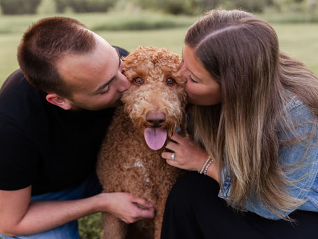 Newlyweds Couples Session | Madison, WI