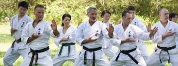 Karate for Adults & Teens