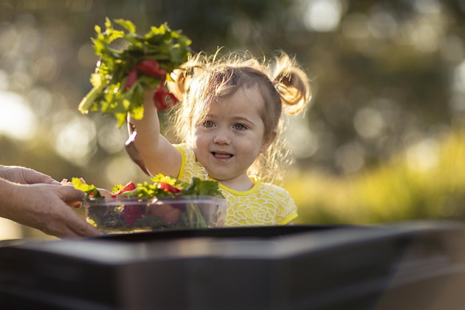 Home Harvest - Getting Ready for the Summer Harvest (Part 2)