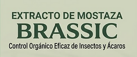 BRASSIC.png