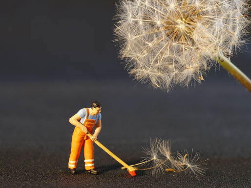 10 Tips To Tackle This Year's Spring Cleaning.