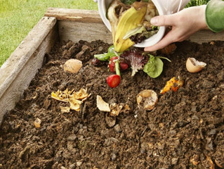 What is Compost?