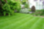 Lawn Care