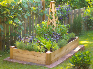 Raised Garden Beds