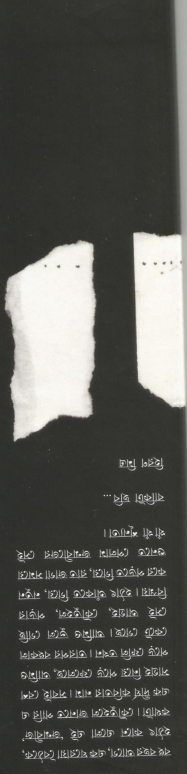 Thumbnail: জন্মবীজ/ প্রবালকুমার বসু