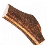 Bois de cerf entier
