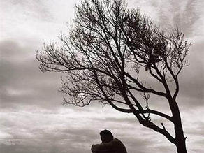 Aventuras e Mentiras