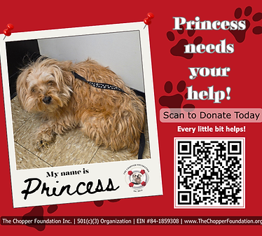 Pets in need (4).png