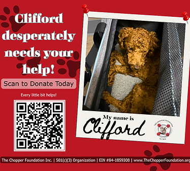 Pets in need (2).png