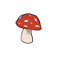 mush1_edited.png