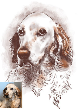 portrett tegning gave jul julegave trondheim portrettegning illustrasjon llustratør Trondheim illustrator trondheim digital drawing daffy design daffydesign Kirsten Stangvik