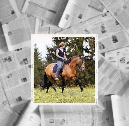 Wissensletter (1).jpg